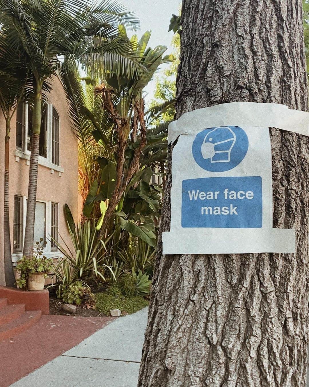 Camden Scottのインスタグラム：「Because some of y’all really need a subtle reminder. 😷」
