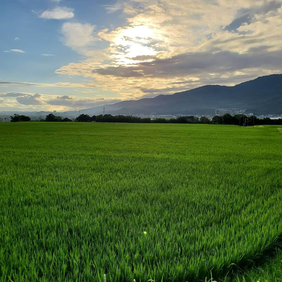 田畑竜介さんのインスタグラム写真 - (田畑竜介Instagram)「久しぶりの朝日🌄  大雨の心配から解放されますように🙏  #福岡市 #朝日」7月16日 6時34分 - tabacchi_rkb