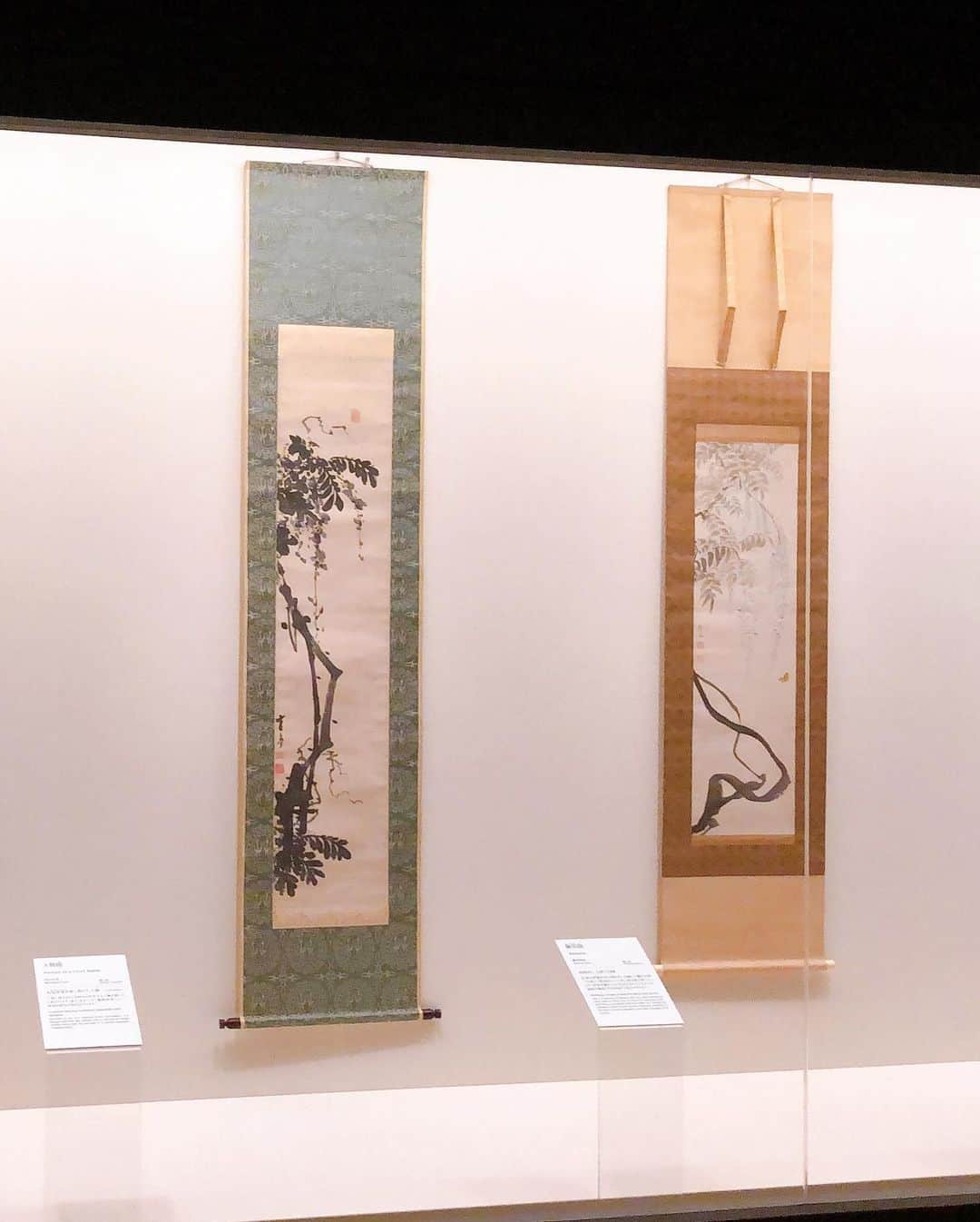 Yuuさんのインスタグラム写真 - (YuuInstagram)「2020年7月16日（木）  おはようございます☀  大阪は今朝久しぶりに太陽が顔を出しました。ベランダガーデニングのお花もきれいに咲いてくれています🌺  こちらは先日のお出かけポスト 雨の嵯峨嵐山まで天才日本画家・円山応挙と高弟・長澤芦雪を観に出掛けてきました。その日の朝にInstagramで展覧会を見つけ、なんとその日が最終日。大雨の予報に一瞬　挫けそうになったけど『好き』には勝てません(๑˃̵ᴗ˂̵) お昼には嵐山に到着しておりました⛩  昔から掛け軸や屏風絵が好きです　　  直行直帰のお出掛けでしたが、こんなに人のいない渡月橋を始めてみました。雨のせいもあるのだろうけどなんだか寂しいですね。  大阪も昨日は60人を超える感染者。 安心してお出かけできる日は　来年になりそうです🍀  皆様も安全に健やかに　素敵な一日をお過ごしくださいね💖  #笑顔が一番　#嵯峨嵐山　#円山応挙　#長澤芦雪　#日本画　 #今日1日を大切に #アラフィフ #大人女子 #美活 #セルフィー　#smile  #コロナウイルスが早く終息しますように  #医療従事者の皆さまに感謝  いつも沢山の👍いいね📝コメントありがとうございます。とても癒されてます💓」7月16日 9時01分 - yuu_yuu_rin_rin