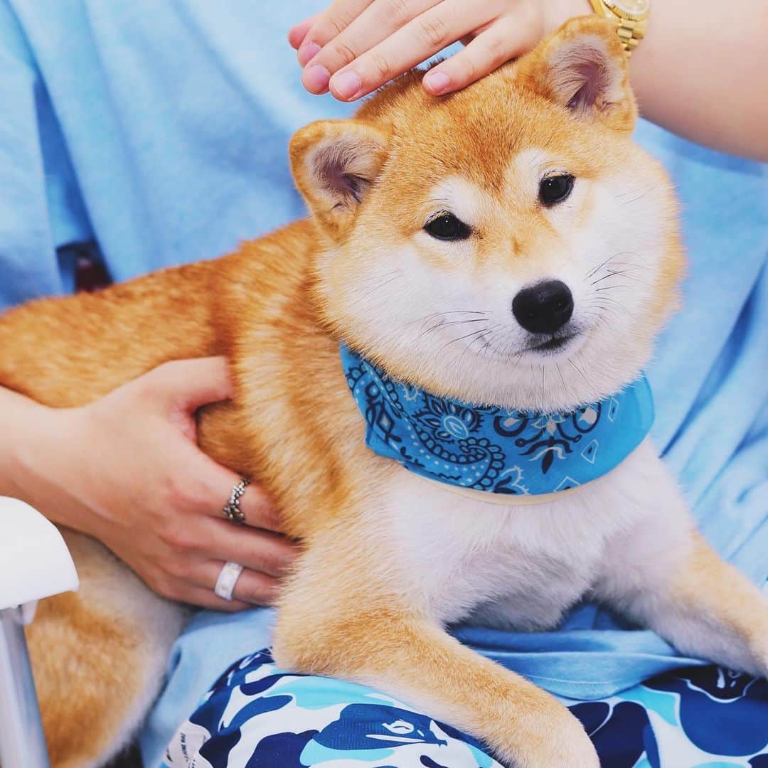 thequiettのインスタグラム