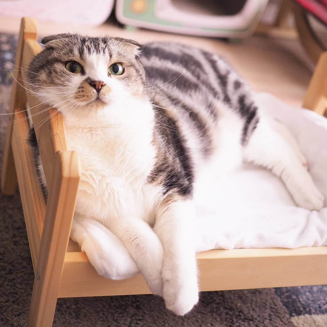 Hitomiのインスタグラム