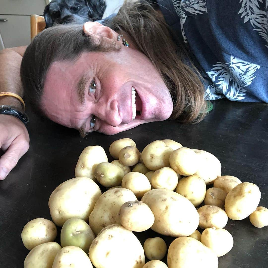 セイン・カミュさんのインスタグラム写真 - (セイン・カミュInstagram)「My first potato harvest😍 Yay 😃  #thanecamus #potato #harvest #farming #gardening #joy」7月16日 10時16分 - thanecamus