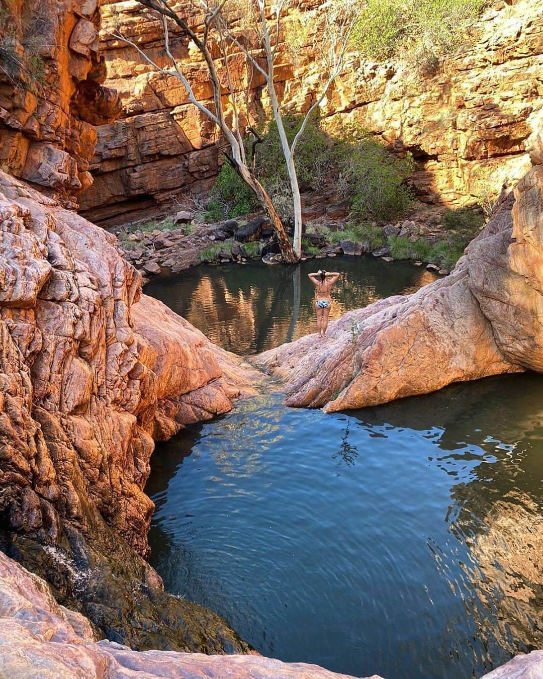 Australiaさんのインスタグラム写真 - (AustraliaInstagram)「Today, we’re exploring hidden gems in the @ntaustralia 💎 @ameliakate_ enjoyed a dip at John Hayes Rockhole which is an outback oasis tucked away in the Trephina Gorge Nature Park. This secluded spot lies deep within the East MacDonnell Ranges and is accessible by four-wheel-drive only, so if you’re planning a visit, chances are you’ll have the whole place to yourself (aside from the local wallabies and birds, that is!). If you’re an experienced hiker, it’s possible to get here by taking the Trephina Ridgetop Trail which offers panoramic views of the surrounding ranges and with a view like this at the end, it’s definitely worth the trek! Tag someone who’s up for an adventure! #seeaustralia #ntaustralia」7月16日 20時00分 - australia