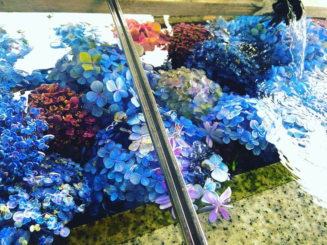 立石純子のインスタグラム