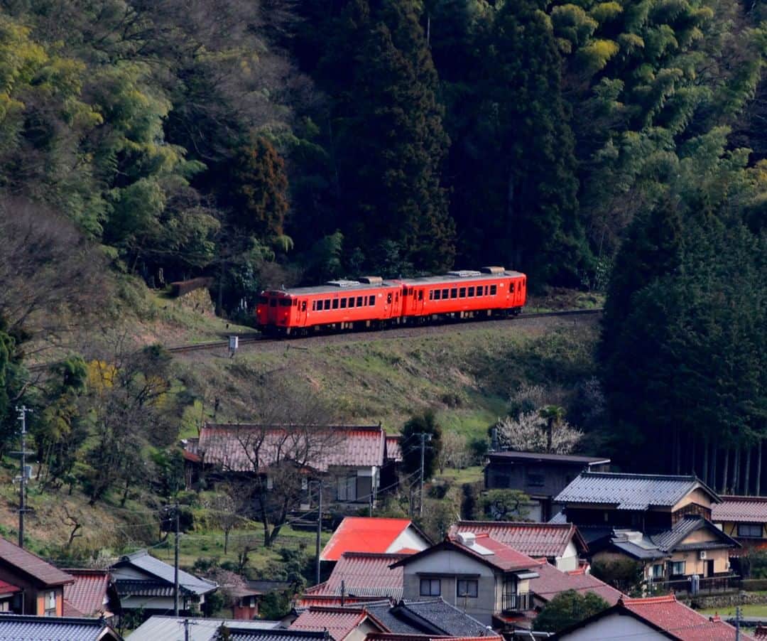 Satoyama推進コンソーシアムさんのインスタグラム写真 - (Satoyama推進コンソーシアムInstagram)「島根県津和野。 里山のふもとを赤い電車がまるでおもちゃの電車のように走る。 （Satoyamaフォトコンテスト2020代理投稿作品）  ★Satoyama & Satoumi Photo Contest 2020 https://satoyama-satoumi.net/contest/photo2020/（日本語） https://satoyama-satoumi.net/global/contest/photo2020/（English） ⠀ ⠀⁠⠀ #jtsatoyama2020 #satoyama #photocontest #photo⠀⁠⠀ #satoumi #japan #landscape #japan_visit #Lovers_Nippon #daily_photo_jpn #naturephotography #フォトコンテスト #フォトコン⠀⁠⠀ #写真⠀⁠⠀ #カメラ⠀⁠⠀ #里山⠀⁠⠀ #里海⠀⁠⠀ #風景⠀⁠⠀ #風景写真⠀⁠⠀ #日本の絶景⠀⁠⠀ #日本の美しい風景⠀⁠⠀ #田舎⠀⁠⠀ #田舎暮らし #島根県 #津和野 #shimane #tsuwano #電車」7月16日 20時49分 - jt.satoyama_consortium