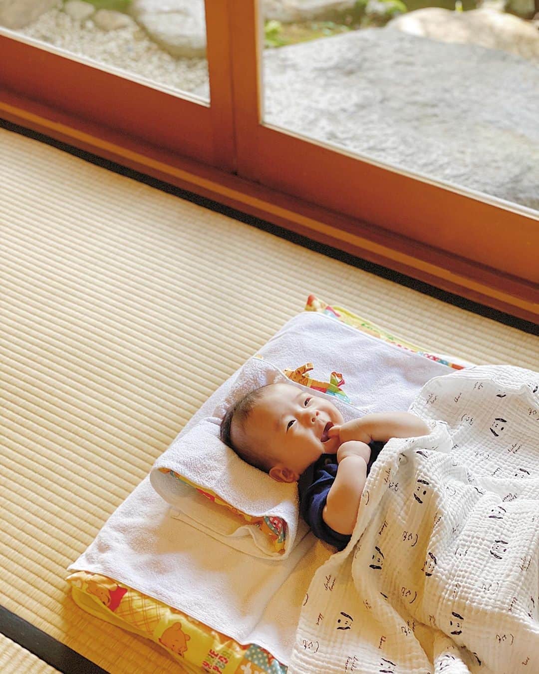 AYUMI SEKO 瀬古あゆみのグルメインスタ