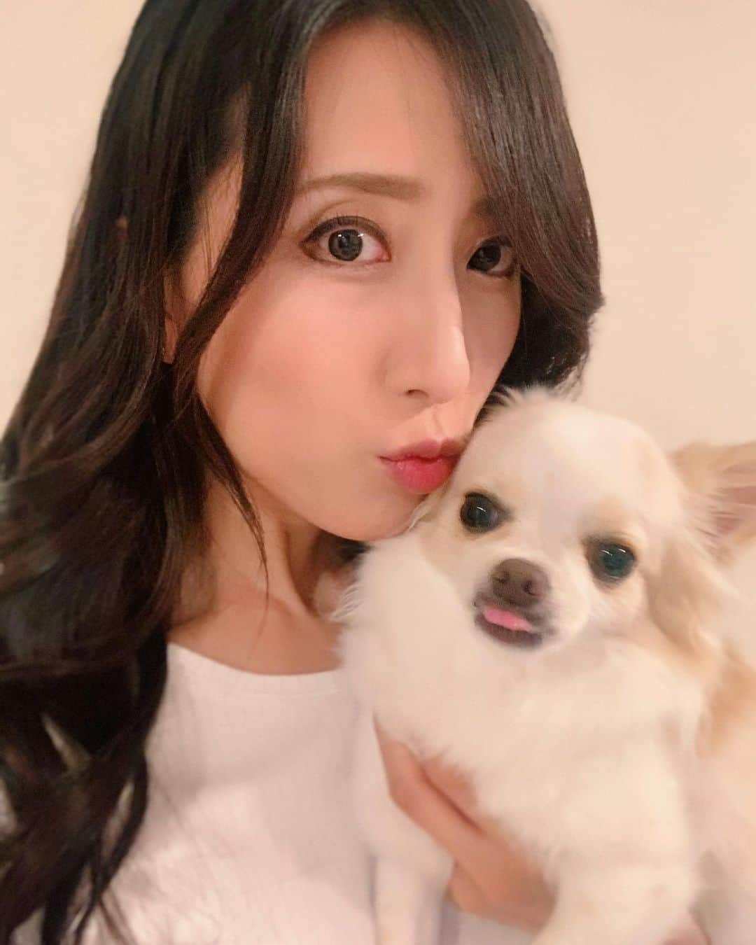 朝風れいさんのインスタグラム写真 - (朝風れいInstagram)「全力でChuuu💋を拒まれる…の巻。 ・ ・ ・ 拒んでいいからもう少し可愛い顔してくれ( ´ཫ` ) I love You( ´ཫ` ) ・ ・ ・ #lovelove #ではない！？ #2ショット　#kiss #chu #くるみ #宝物 #チワワ #chiwawa #犬 #dog #3歳 と　#6ヶ月 #クリスマス生まれ #甘えん坊 #童顔 #チワワ部 #いぬすたぐらむ #親バカ #dogstagram」7月16日 21時08分 - rei.wd