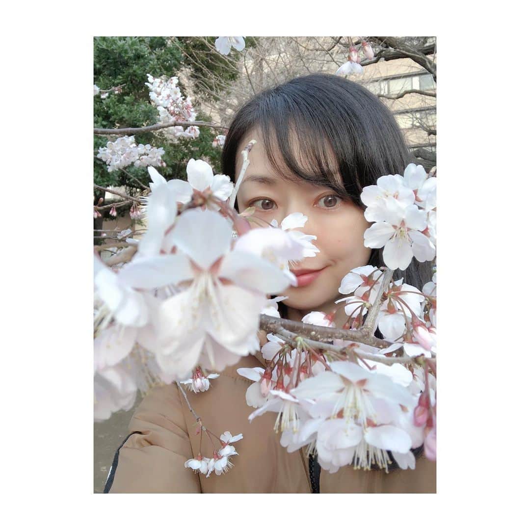 理絵さんのインスタグラム写真 - (理絵Instagram)「2月…まだ関節リウマチに気付いていない頃の写真  #flowers #sakura #꽃 #花 #2月 #桜 #tokyo #japan #関節リウマチ」7月16日 21時09分 - ____rie____