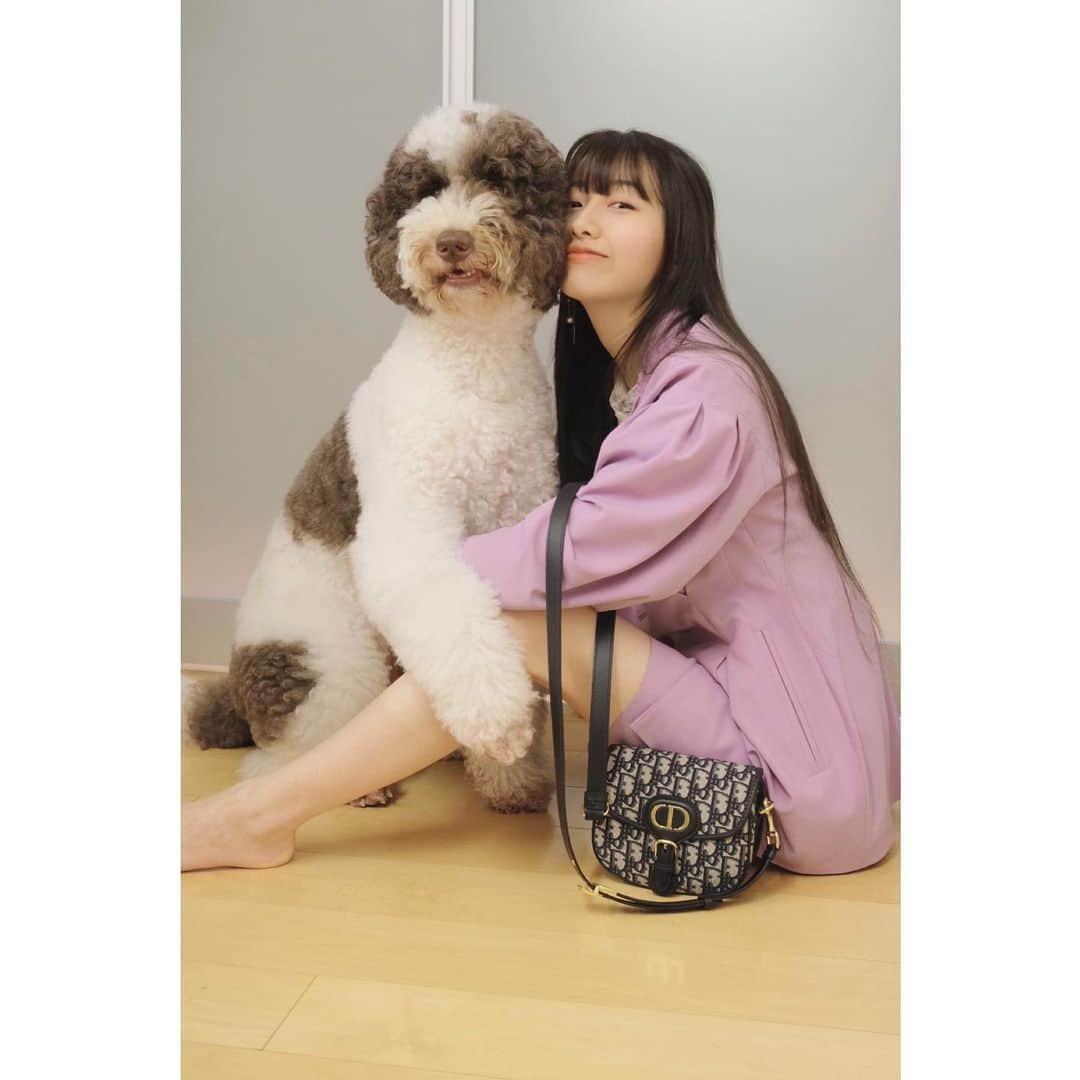 木村心美さんのインスタグラム写真 - (木村心美Instagram)「NEW！！！ #DiorBobby 💜💜💜 ボビーはクリスチャン・ディオールさんの愛犬わんちゃんで、バッグの名前の由来です。可愛い。。こちらのサイズはミニです！携帯、リップと櫛は常にバッグの中にあるアイテムです。 ・ 私も愛犬エト君とお写真を撮りました。 ・ そして来週、ついにハイキューが完結するのですね。今週号でも泣いたのに来週どうなる事やら。。。ｷﾞｬﾝ ・ そして遅れましたデクくんお誕生日おめでとう！かっちゃんがデクくんにプレゼントするなら何をあげるんだろう、、という妄想を膨らませていました。 ・ @dior #DiorBobby #staysafe  ・ 📸by 母上」7月16日 21時11分 - cocomi_553_official