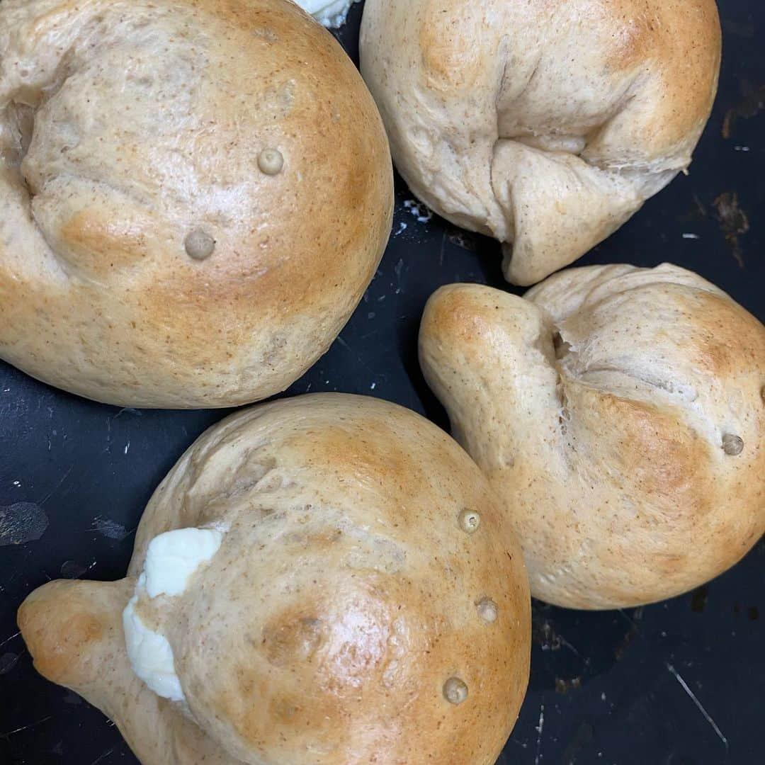 魔女菅原さんのインスタグラム写真 - (魔女菅原Instagram)「#ベーグル　#bagel  クリームチーズ入りベーグル♪ あとは野菜サラダか果物を加えれば栄養バランスもバッチリ✨  #銀河のちから　#銀河のちからのベーグル #のだ塩　#中種法　#盛岡　#盛岡パン　#盛岡パン屋 #自家製天然酵母のパン屋さんカンパーニュ #魔女菅原」7月16日 12時31分 - hatsuyosugawara