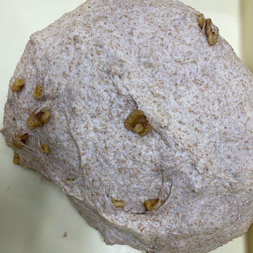 魔女菅原さんのインスタグラム写真 - (魔女菅原Instagram)「#コンプレノア　#コンプレ  クルミ入りの小麦全粒粉パンです。小麦全粒粉は体にいい成分が多いのですが、穀物臭が気になる方も。このパンはスキムミルク、発酵バター、クリームチーズが加えられているので小麦全粒粉の香ばしさが引き立ちます。 食物繊維が豊富で鉄分も多い、体にやさしいパンをお試しください😉💕  #盛岡　#盛岡パン　#盛岡パン屋 #ハード系パン　#小麦全粒粉　#全粒粉パン　#自家製天然酵母のパン屋さんカンパーニュ #魔女菅原」7月16日 12時24分 - hatsuyosugawara