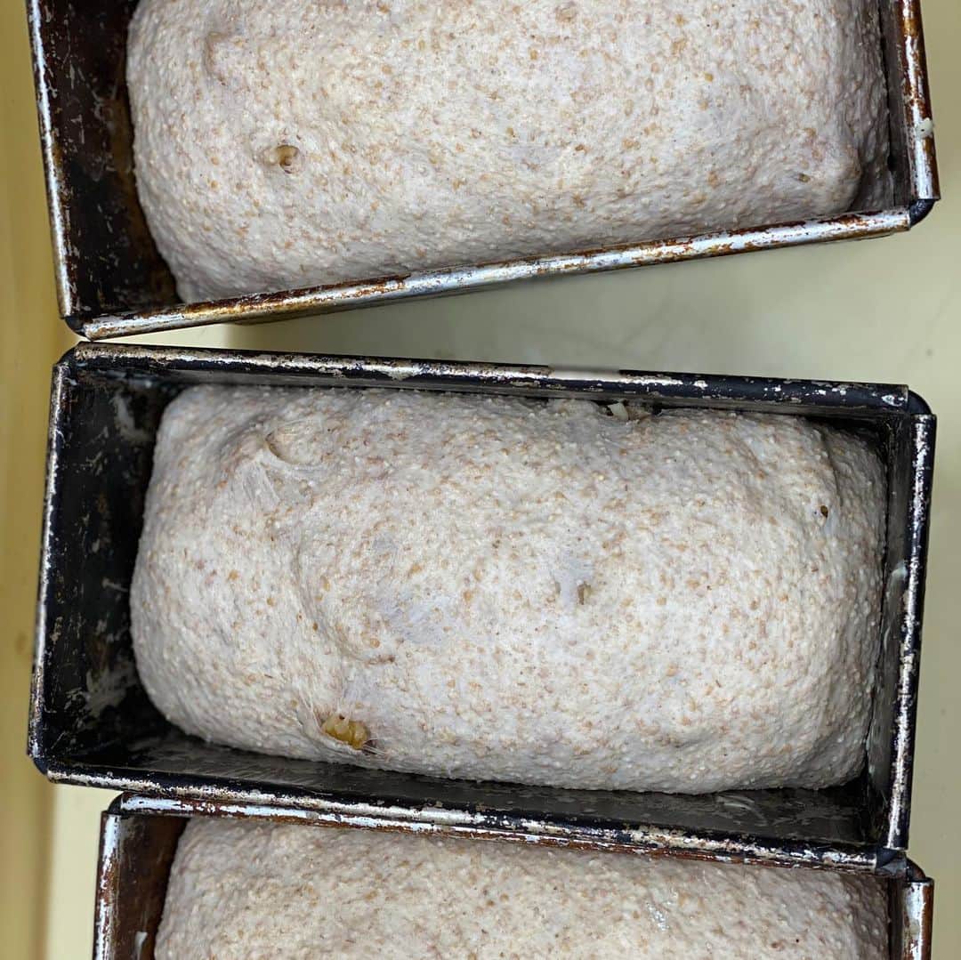 魔女菅原さんのインスタグラム写真 - (魔女菅原Instagram)「#コンプレノア　#コンプレ  クルミ入りの小麦全粒粉パンです。小麦全粒粉は体にいい成分が多いのですが、穀物臭が気になる方も。このパンはスキムミルク、発酵バター、クリームチーズが加えられているので小麦全粒粉の香ばしさが引き立ちます。 食物繊維が豊富で鉄分も多い、体にやさしいパンをお試しください😉💕  #盛岡　#盛岡パン　#盛岡パン屋 #ハード系パン　#小麦全粒粉　#全粒粉パン　#自家製天然酵母のパン屋さんカンパーニュ #魔女菅原」7月16日 12時24分 - hatsuyosugawara