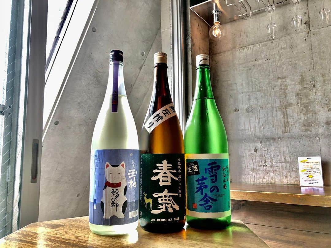 純米酒専門八咫 渋谷店のグルメインスタ