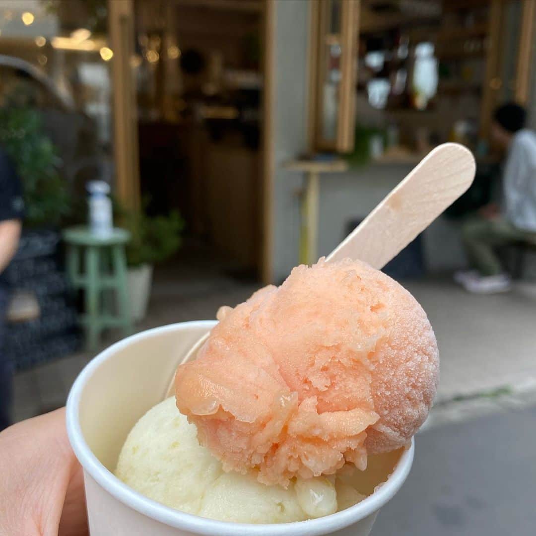 永田琴のインスタグラム：「数日後、スイカ🍉はソルベに生まれ変わりましたとさ！」