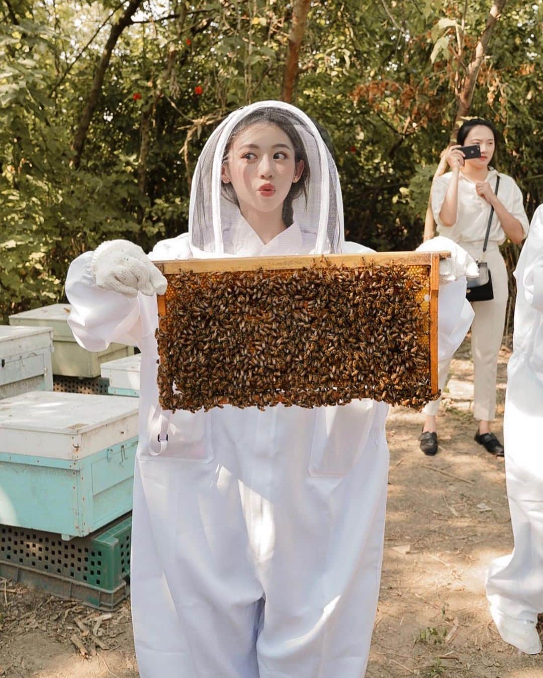 紀卜心さんのインスタグラム写真 - (紀卜心Instagram)「這次跟著 @guerlain去小旅行 ﻿ 不止露營還去當一日小小蜂農🐝﻿ 第一次這麼近距離的接觸蜜蜂!也更了解蜜蜂了﻿ 蜜蜂為大自然還有人類帶來的幫助可是很多的~很多農作物 糧食、蔬菜、水果 大部分都是靠蜜蜂的進行授粉才能維持生態﻿ 如果因為殺蟲劑或人為因素造成蜜蜂滅絕,那很有可能會造成人類的饑荒!!﻿ 所以我們都要用心保護蜜蜂跟大自然啊~~~﻿ 蜂農老闆還跟我們分享其實雄蜂是沒有刺的,只有恰北北母蜂有刺會叮人！所以我們放心的讓雄蜂在手上爬🤣﻿ 我還吃了超新鮮未經加工的養顏美容聖品✨蜂王乳 ﻿ 嗯⋯吃起來有種酸酸辣辣的感覺,很像吃西餐會配的某種沾醬🤔﻿ 超愛吃蜂蜜的我,也是現在才知道原來蜂蜜是蜜蜂用口吸允出來的﻿ 這麼熱的天來瓶冰涼的蜂蜜水真的超舒爽餒﻿ ﻿ 嬌蘭一直以來以環境保育作為產品開發的核心﻿ 創新的永續環保理念,致力於減碳、維護生物多樣性 ,保護蜜蜂之餘還研發多種保養品讓我們可以美美的 很開心這次可以跟嬌蘭一起享受大自然﻿ 8/1有厲害的神蜜新品上市!我已經搶先試用了﻿ 這幾天的小旅行都用它~皮膚超水嫩﻿ 之後會再跟大家分享喔💛💛﻿ ﻿ #Guerlain #Guerlaintw #AbeilleRoyale #GuerlainForBees #ThankYouBees #InTheNameOfBeauty #嬌蘭」7月16日 13時21分 - eatzzz7