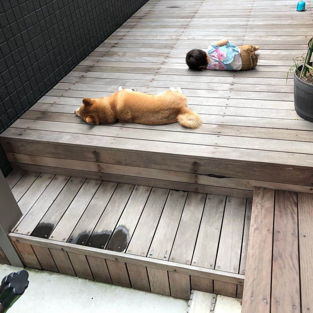 舞名里音のインスタグラム