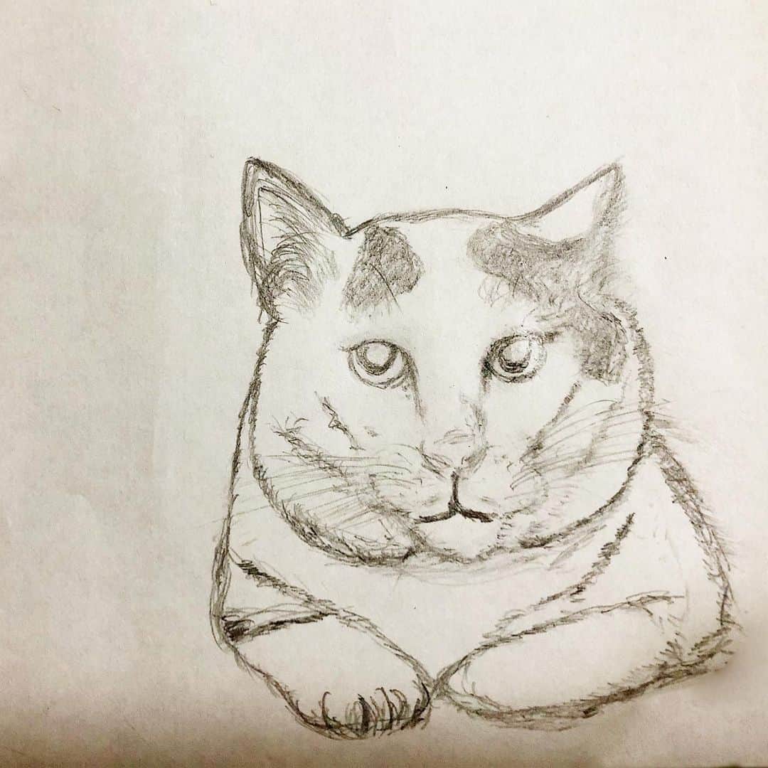 Kachimo Yoshimatsuさんのインスタグラム写真 - (Kachimo YoshimatsuInstagram)「yumimiiさんがナナクロの絵を描いてくれました。ありがとうございました。 #うちの猫ら #ナナクロの絵 #nanakuro #ナナクロ #猫 #ねこ #cat #ネコ #catstagram #ネコ部 http://kachimo.exblog.jp」7月16日 13時25分 - kachimo