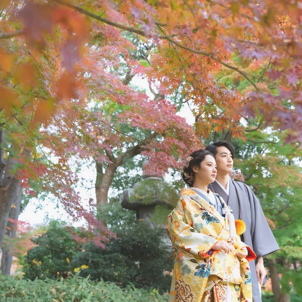 CLAIREのインスタグラム：「紅葉ロケーション撮影のお問い合わせが、少しずつ増えています🍁 ・ @clairebridalstudio」