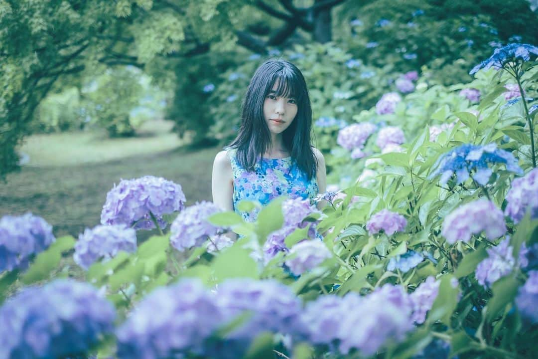 奥野香耶のインスタグラム：「photo(@tkhsmnr108 ) ・ ・ #紫陽花 #昭和記念公園  #ファインダー越しの世界  #portrait #good_portraits_world  #seasonalflowers #as_archive #cityports #into_the_screen #jp_mood  #声優 #梅雨 #blue」