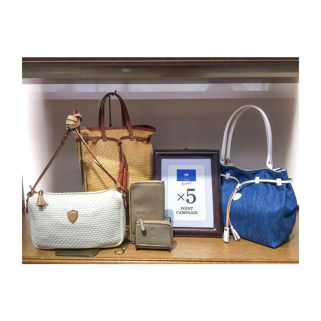 Felisi Japan 〔フェリージ〕のグルメインスタ