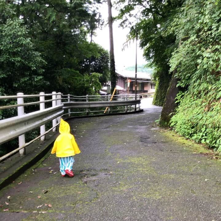 与座よしあきのインスタグラム：「森の妖精が道案内してくれました。」