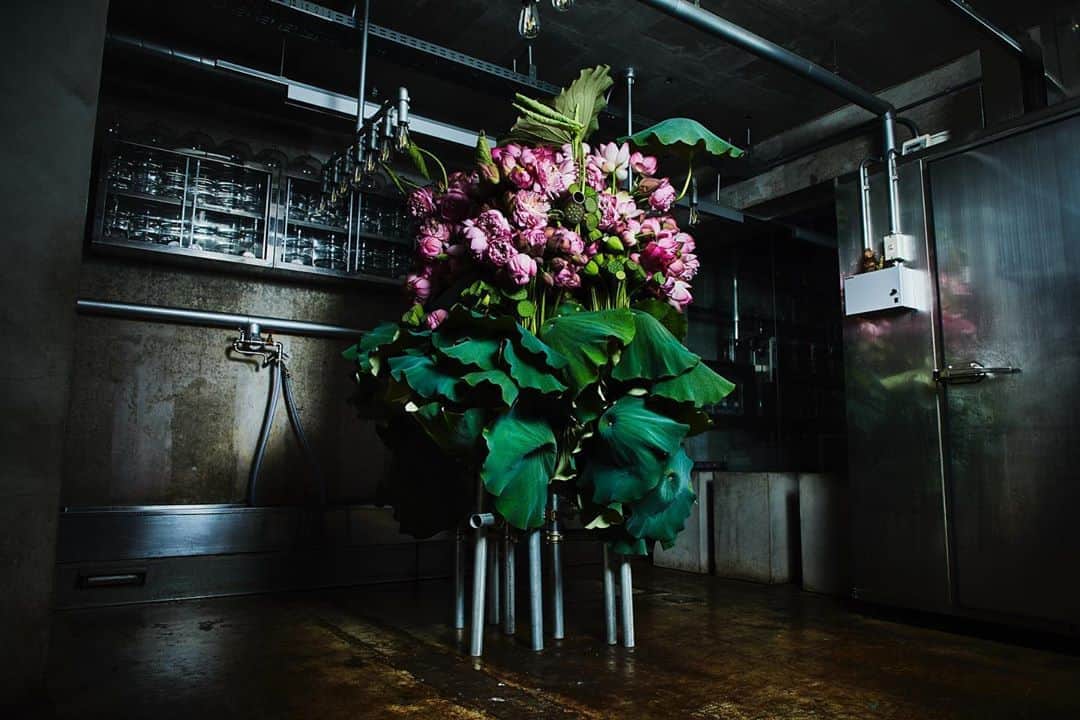 椎木俊介のインスタグラム：「Botanical Sculpture in Aoyama Date: July 14, 2020 #azumamakoto #makotoazuma #shiinokishunsuke #amkk #amkkproject #flowers #flowerart #botanicalsculpture #東信 #東信花樹研究所 #蓮 #ハス #tokyo #毎年恒例 #花と祈り #災難即滅」