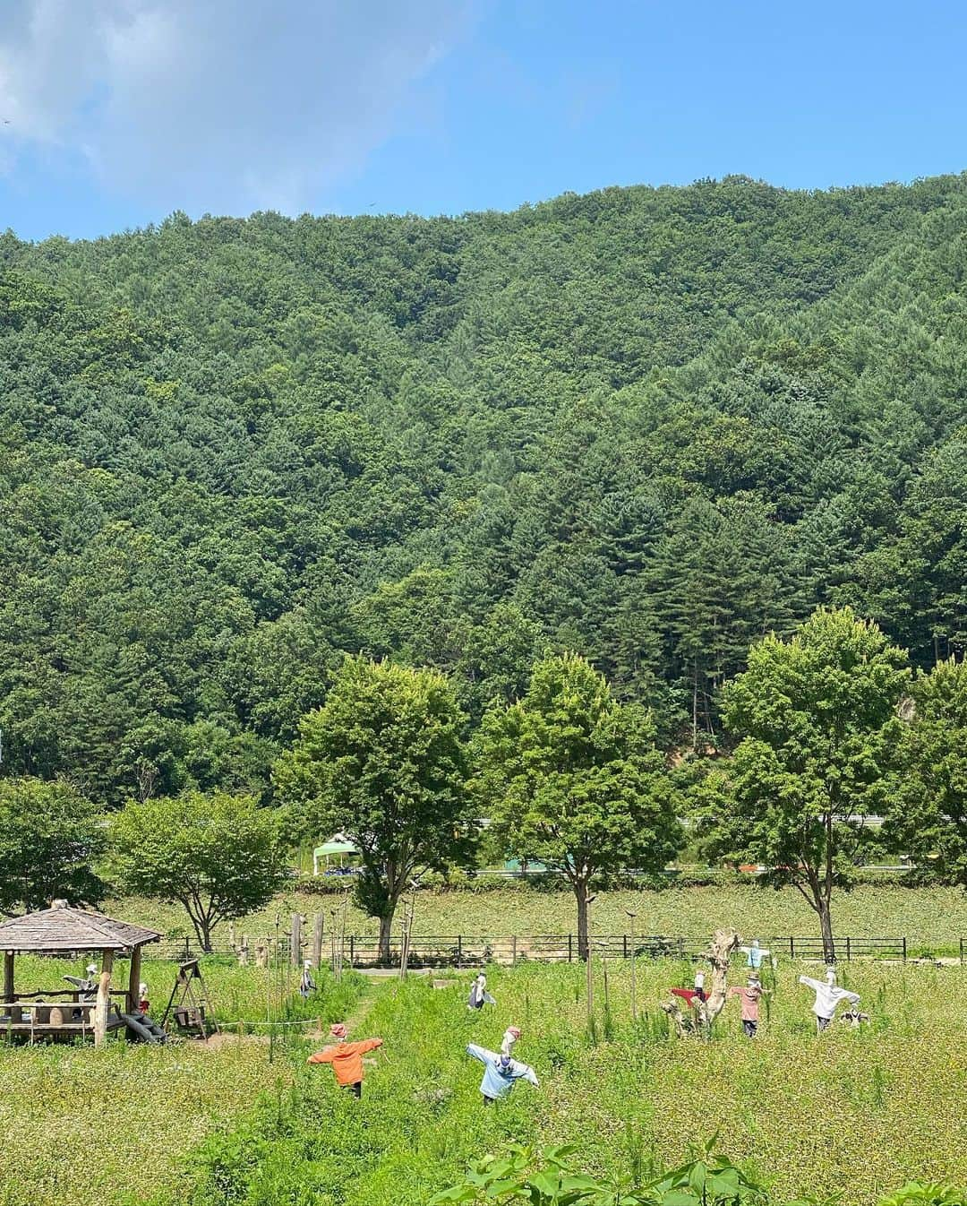 チェ・ジャヘさんのインスタグラム写真 - (チェ・ジャヘInstagram)「. #여름 #summer 🌿 #허수아비 #닭갈비 #초복」7月16日 15時07分 - lovely_jahye