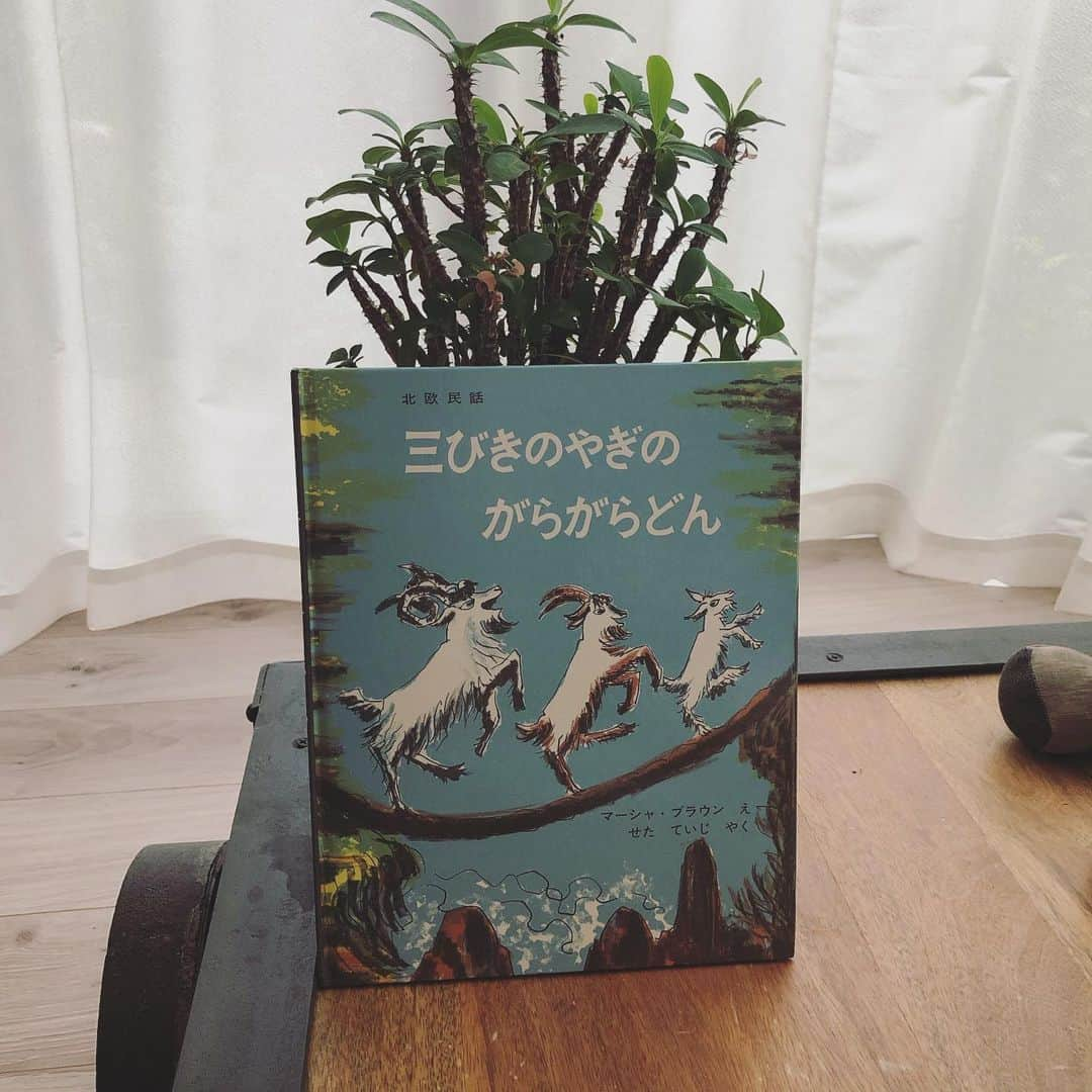 SAYUKIさんのインスタグラム写真 - (SAYUKIInstagram)「従兄弟からのお下がり本。段ボール4箱分も絵本がありました😳　宝の山だね！！と大喜びでまず選んだ10冊。1ヶ月間何度も読み、1番人気は、、  1 #よるくま　#酒井駒子 寝る前に2人が持ってくる率1位。寝る前に突然現れたよるくまと、くまのお母さんを探します。とっても可愛らしいお話で、心があったかーくなります。  2 #ねないこだれだ　#せなけいこ ちょっと怖くて癖になる様です。おどろおどろしい声で読みます笑。  3 #三びきのやぎのがらがらどん #マーシャブラウン  私が幼稚園の時に大好きだった本です。怖いトロルに知恵と勇気で立ち向かうヤギたち。男の子はスリルと冒険が好きですね。  4 #だるまちゃんとてんぐちゃん #加古里子 #かこさとし  てんぐちゃんのものを何でも羨ましく思い真似をするだるまちゃん。アイテム探しの様子が楽しい様です。幼いだるまちゃんと優しいてんぐちゃんのやり取りが微笑ましい。  5 #花さき山　#斎藤隆介 #滝平二郎  初めて読んだ時涙が込み上げました。そして最後の、あっ！いま花さき山で花がさいているな。と思う瞬間。たまりません。癖のある鈍り言葉も雰囲気を盛り上げます。ごっつぉう、が最初意味が分からず「？？？」となりました笑。本当に花さき山ってあるの？と聞いて来ます。きっとあるよ。  6 #わがままいもうと　#ねじめ正一 #村上康成  熱のある可愛い妹に振り回されるお兄ちゃん。わがままを聞いて色んなお店と家を行ったり来たり。翻弄されるお兄ちゃんの様子が面白い様です。  7 #もりのなか　#マリーホールエッツ 森の中を歩く僕に次々と付いてくる動物たち。子供の不思議な想像の世界に迷い込んだようなお話。dくんが1人芝居に入り込んでいる時、こんな感じなのかなあと思います。  8 #ちいさいおうち　#バージニアリーバートン  時の流れる中でお家は泣いたり笑ったり。窮屈なビルに挟まれた時は胸がギュッと痛みました。最後に幸せそうな家を見て、良かったね、と。  9 #はじめてのおつかい おつかいのドキドキ感に共感と憧れを込めて読んでいる様。たまに、スーパーの中で一品だけ渡して先に買ってきてもらうと言うプレおつかいをしています笑  10 #こぶじいさま　#松居直　#赤羽末吉 #こぶとりじいさん のお話です。子供は鬼が出てくる話が好きですね。おじいさんが鬼と歌って踊って弾けるシーンが面白いそうです。取ったりつけたりできるこぶ、当たり前のように受け入れてしまう絵本の不思議。  どれもこれもとっても良い絵本です。 夫の妹さんがdj兄弟にと譲ってくれたのですが🙏✨　段ボール4箱分はうちの本棚に入りきらないので、少しずつばばのお家から借りる事に。1ヶ月経ち、やっぱりばばの家に返したくない、もっと読みたい、、😢と言っているので、本棚新設計画中です。  平仮名、カタカナは読めるようになったので、ここから自分のペースでぐんぐん吸収してくれると良いな😊  #SAYUKIbook #絵本　#おすすめ絵本　　#babyDbook #SAYUKIsdj #男の子ママ」7月16日 15時10分 - sayukisvoice