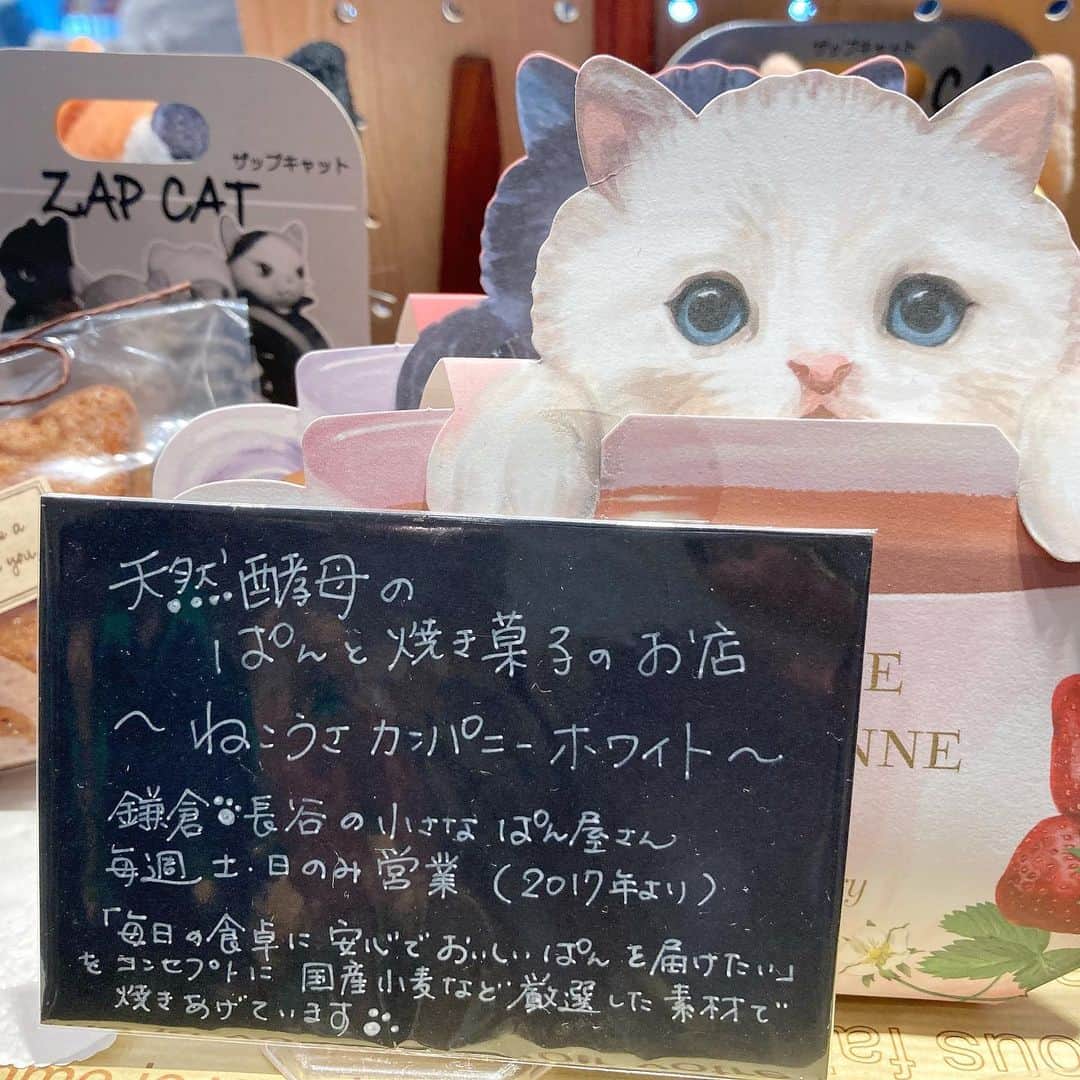 ねこさんのインスタグラム写真 - (ねこInstagram)「鎌倉駅徒歩すぐの場所にある、【鎌倉ねこサロン(@kamakura_neco_salon )】さんに行ってきました〜😻❤️相変わらず、カワユシ💓な、ねこグッズがたーくさん❣️❣️✨ 今は、除菌系や衛生系のねこモチーフグッズや、エコバッグ類などの新商品がたっくさんあったョ🌞✨ 写真2〜3枚目の、パン屋さんが作った、ねこ型マフィン超おいしそう….❤️とっても人気なんだって❣️ もちろん私たちNEKONOBAグッズも多数取り揃えているので是非お店に遊びに行ってみてね🌸 鎌倉駅降りて、小町通りじゃなくて、御成通り‼️です😊✨徒歩1分くらいの場所にあるよ‼️鎌倉に来た際は是非にっ🏋🏽🌴 #neko_magazine #NEKONOBA #ねこマガジン #ネコノバ #ねこ #猫 #cat #catstagram #cat #雑誌ねこ #ねこ雑貨 #今日のねこ #鎌倉 #kamakura #鎌倉ねこサロン #御成通り」7月16日 15時35分 - neko_magazine