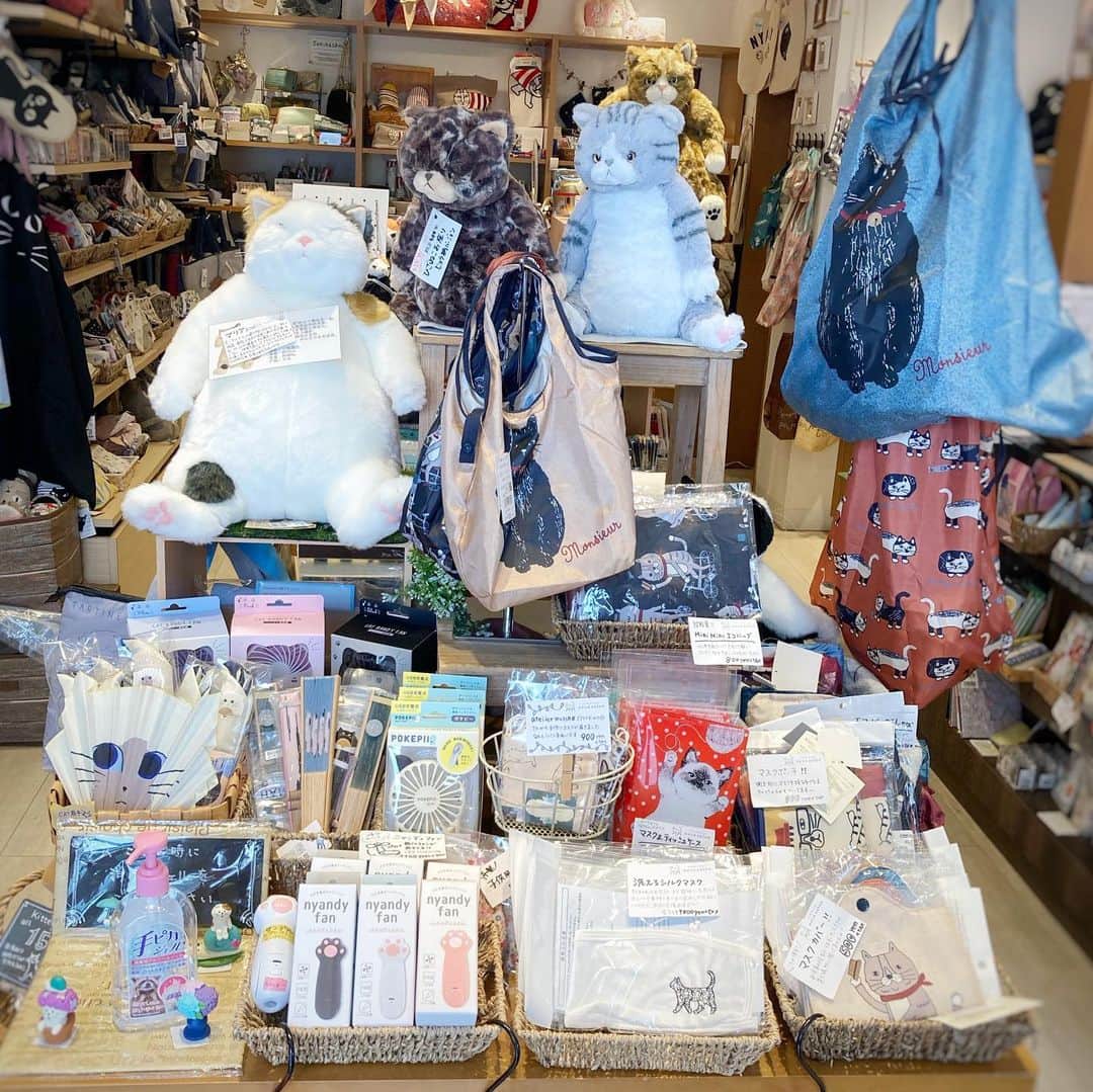 ねこさんのインスタグラム写真 - (ねこInstagram)「鎌倉駅徒歩すぐの場所にある、【鎌倉ねこサロン(@kamakura_neco_salon )】さんに行ってきました〜😻❤️相変わらず、カワユシ💓な、ねこグッズがたーくさん❣️❣️✨ 今は、除菌系や衛生系のねこモチーフグッズや、エコバッグ類などの新商品がたっくさんあったョ🌞✨ 写真2〜3枚目の、パン屋さんが作った、ねこ型マフィン超おいしそう….❤️とっても人気なんだって❣️ もちろん私たちNEKONOBAグッズも多数取り揃えているので是非お店に遊びに行ってみてね🌸 鎌倉駅降りて、小町通りじゃなくて、御成通り‼️です😊✨徒歩1分くらいの場所にあるよ‼️鎌倉に来た際は是非にっ🏋🏽🌴 #neko_magazine #NEKONOBA #ねこマガジン #ネコノバ #ねこ #猫 #cat #catstagram #cat #雑誌ねこ #ねこ雑貨 #今日のねこ #鎌倉 #kamakura #鎌倉ねこサロン #御成通り」7月16日 15時35分 - neko_magazine