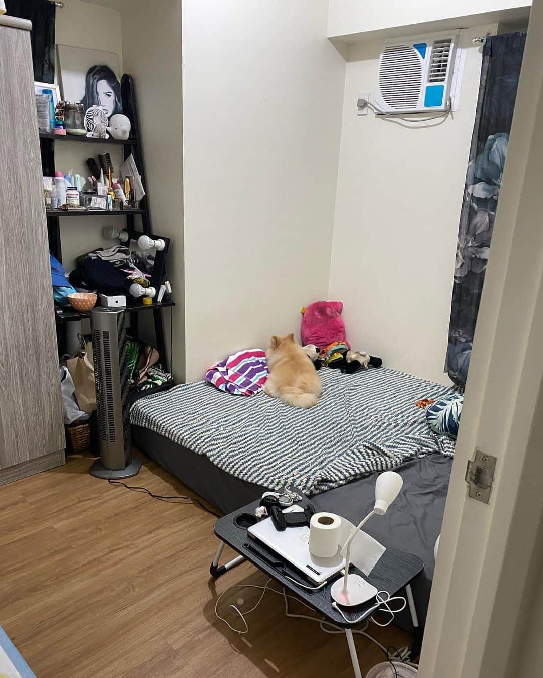 ローレン・ヤングのインスタグラム：「SWIPE FOR BEFORE AND AFTER ✨   Got rid of my queen size mattress and downgraded (I personally think its an upgrade 🥰) to a smaller bed with storage! Was able to transfer all the clutter from my desk to the drawers that are on the side of my new bed frame. My room has more space to move around and my desk is ready for my new computer which I’ll be using to stream VERY SOON!!!   Fixing my room and my stream was something that I’ve been wanting to do for so long and I’m glad to see everything come together!! Just a few more things left and I’ll be ready to go LIVE!!!!! Can you guess what I’ll be streaming? 💖」