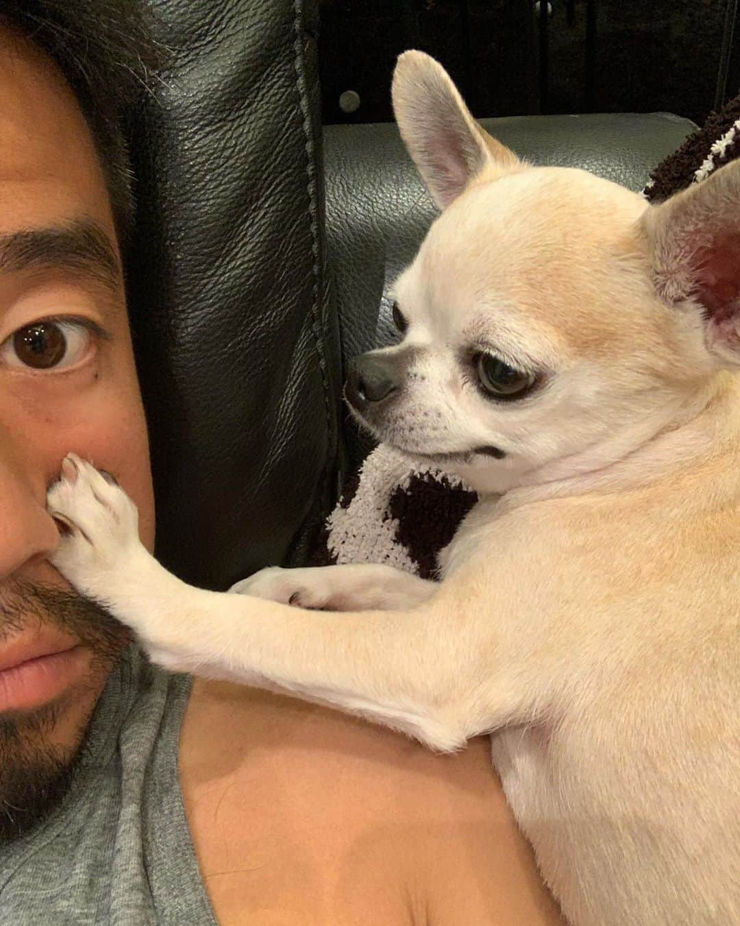 小平智のインスタグラム：「手を置くところじゃないぞロッキー！笑 #ロッキー #小平智」