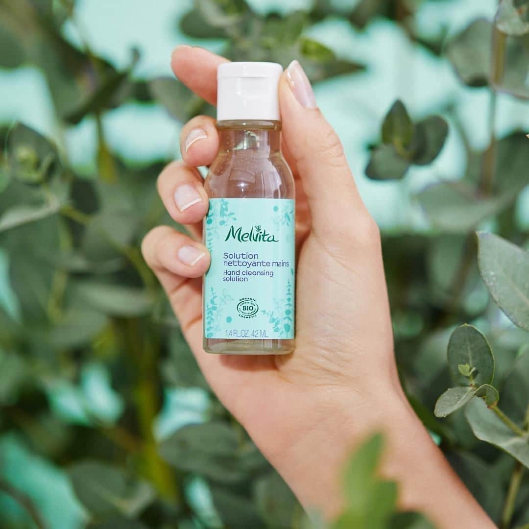 Melvita Officialのインスタグラム：「Ça vous dirait de passer au bio🌿 pour nettoyer vos mains ?  Découvrez notre Solution Nettoyante Mains👋 Bio 🌿 : ✅ 69% d’alcool végétal bio ✅ 99% d’ingrédients naturels ✅ 71% d’ingrédients bio ✅ Formule non desséchante (acide hyaluronique + glycérine pour des mains douces et hydratées ) ✅ Huile essentielle d’eucalyptus bio pour un parfum frais et délicat #Melvita #handcleansinggel #solutionnettoyantemains #hydragel #cleanhands #alcoolgel #acidehyaluronique #hyaluronicacid #eucalyptusessentialoil #organiccosmetics #cleanbeauty」