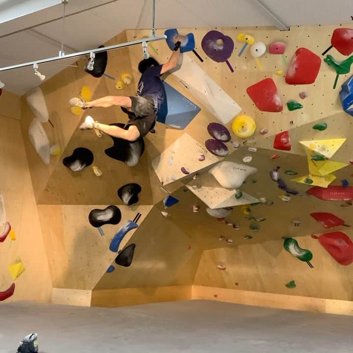石松大晟のインスタグラム：「・﻿ 今日は @boulderpark_basecamp 💪﻿ 2段、3段全完狙ってたけど1本残し。﻿ 登れなかった1本も下部は出来たけど、ゴール取りはバラシでも永遠に弾かれて心折れました🙏﻿ ﻿ 動画は一撃できた3段😎﻿ ﻿ @gontexofficial ﻿ @mudhand_cb ﻿ @lasportivajp ﻿ @thoufun_official ﻿ @hokoru856 ﻿ #climbing #bouldering #climbing_videos_of_instagram #bouldering_videos_of_instagram ﻿ #クライミング #スポーツクライミング #ボルダリング」