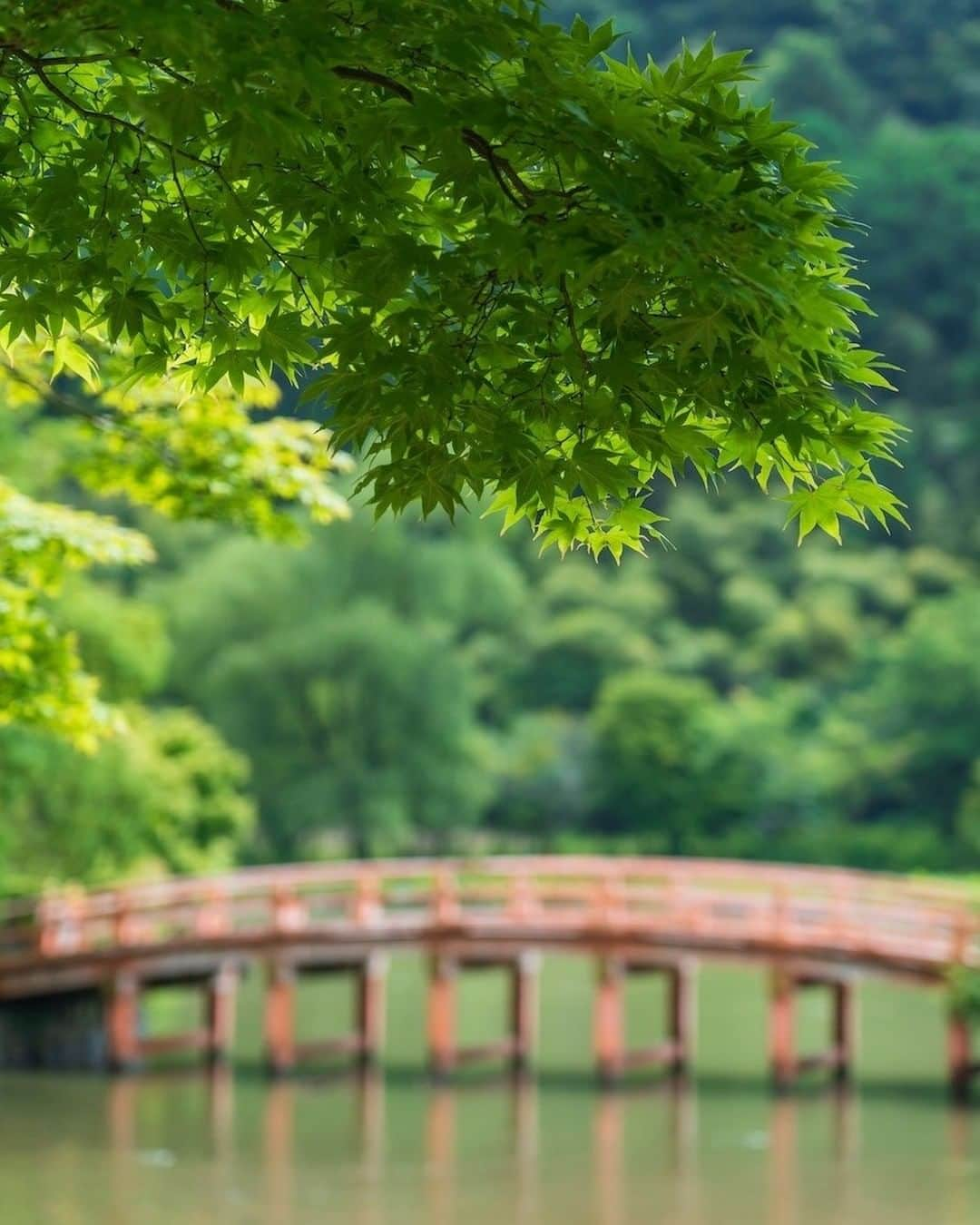 福島県のインスタグラム