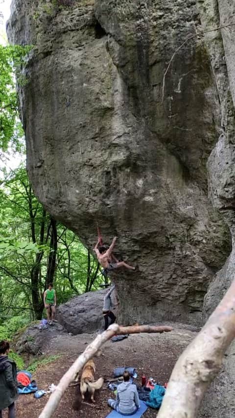 ヤン・ホイヤーのインスタグラム：「@mammut_swiss1862  @madrockclimbing」