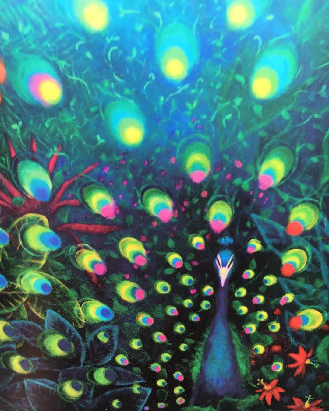 成瀬未夏さんのインスタグラム写真 - (成瀬未夏Instagram)「dream  #art#Acryl paint#painting#アート#アクリル画#絵画#孔雀#Peacock」7月16日 18時40分 - narusemika