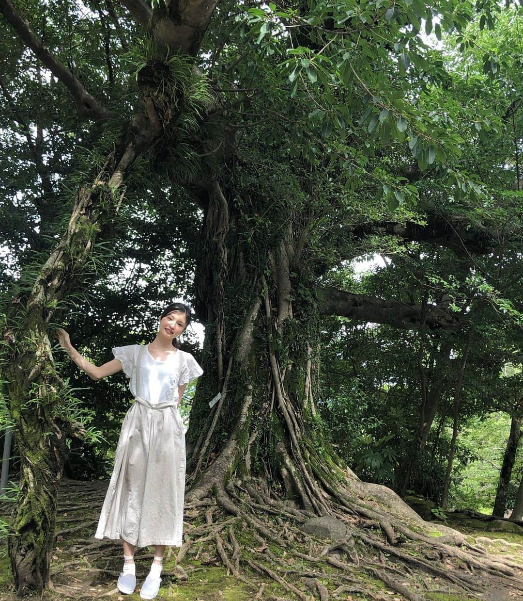 大隣望鈴のインスタグラム：「‪‪☺︎‬ ジブリに出てきそうな木をみつけました🌳」