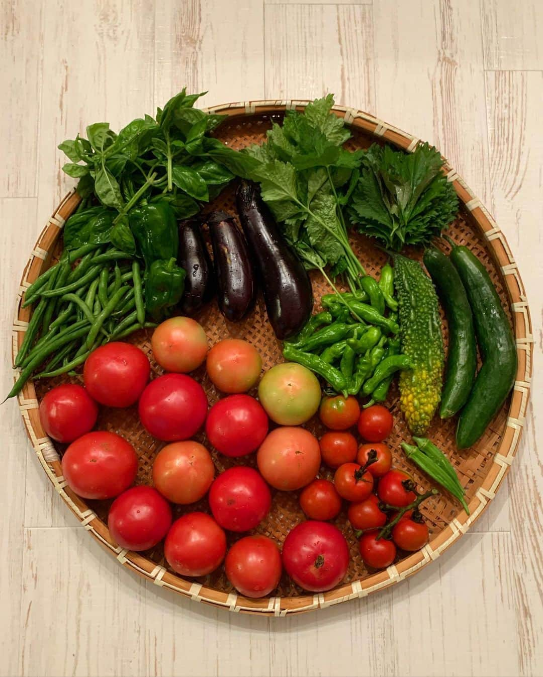 三浦理志さんのインスタグラム写真 - (三浦理志Instagram)「SURF&NORF #farm #farmer #vegetables #tomato #basil #surfandnorf #畑 #野菜 #夏野菜 #トマト #バジル #なす #インゲン #ゴーヤ #きゅうり #しそ #三つ葉 #ピーマン #ししとう #自家製野菜 #自産自消 #小粒」7月16日 19時26分 - mar4m