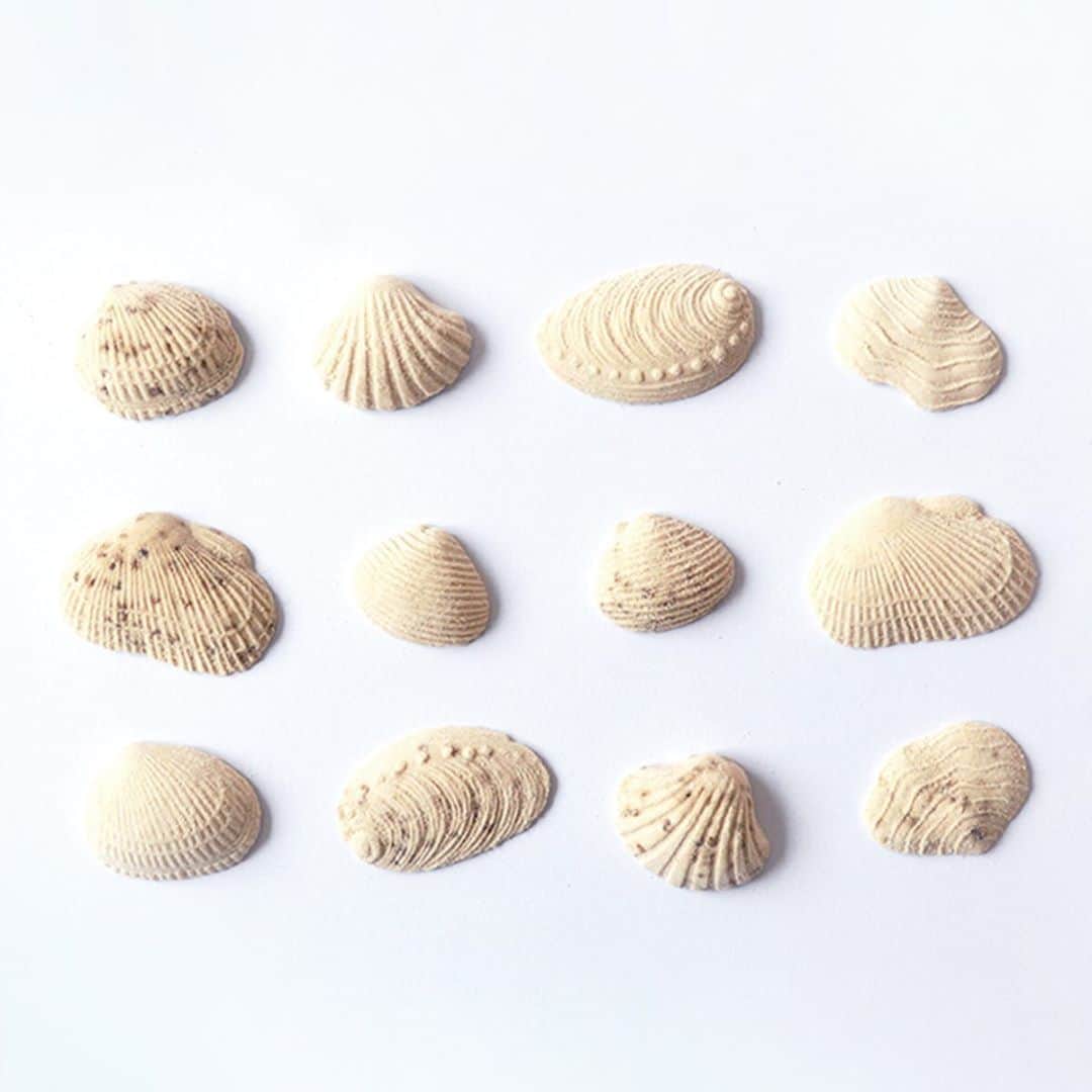 haconiwa / 箱庭さんのインスタグラム写真 - (haconiwa / 箱庭Instagram)「夏にぴったりな美しい干菓子、百年前の木型で作る"かしこ"の「貝」をご紹介。﻿ ﻿ 和菓子職人の手でひとつひとつ打ち出して出来た本物みたいなお菓子「貝」は、ジュワッと広がる和三盆の優しい甘さが特徴。﻿ 曲線を描く箱に紐があしらわれたこだわりのパッケージも素敵です！﻿ ﻿ 詳しくは、haconiwaにて”かしこ”で検索&記事をご覧ください！﻿ ﻿ #かしこ #kashiko #干菓子 #貝 #和三盆 #和菓子 #パッケージデザイン #ギフト #プチギフト #かわいいお菓子 #貝殻」7月16日 19時42分 - haconiwa_mag