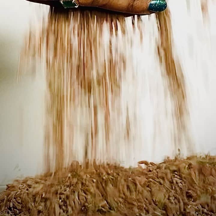 ケリスのインスタグラム：「Did you know rice originated in Africa? When Europeans landed on the continent on the west coast they were amazed at all the varieties and abundance of rice and grains. They asked the agricultural experts how it was done . They then captured them , enslaved the people and brought them to an island off the coast of South Carolina . We know them as Gullah Geechee . I’m so grateful for their expertise and the skills . We know that rice originated in Africa and now this beautiful red grain grows in Thailand . It’s infused with aromatics I brought back from my trip to ZANZIBAR on spice island . I fell in love with the Zanzibar chili 🌶 pepper and now grow it on my farm . This delicious blend will be in your GOLD MINE BOX GOING ON SALE LIVE TOMORROW AT 12 noon PST time . #thecontinent #zanzibar #aromatherapy #aroma #food #rice #cheflife #buyblack #love」