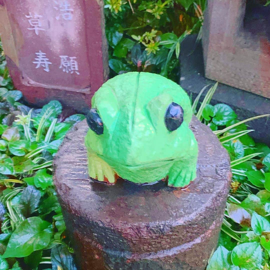 のインスタグラム：「《OhaYOKAN》  今朝の 原宿表参道は雨模様…☔️  梅雨寒で 土砂降りの雨の朝🌅  朝ラン＆ウォークは  傘をさして スロージョギング＆お散歩ウォーク…🏃‍♂️👟  さて  本日の YOKANは  午前中は  家事＆事務仕事…🧹✍️  持病の喘息の お薬が切れたので病院へ…💊🏥  午後からは  ラジオ番組の収録…🎙🎧👄🎵📻  からの  編集、完パケ＆納品…✂️🎵📻✨  楽しみながらがんばりまーす✌️  みなさま  笑顔で ステキな1日を…💓  ※今朝の  『YOKAN散歩』  写真は  四谷四丁目交差点  四谷大木戸跡にある  カエルの石像…🐸  いつの間にか色が付いてる🎨  #harajuku #omotesando #原宿 #表参道 #tokyo #japan #morning #朝 #朝ラン #ウォーキング #running #walking #plogging #プロギング #OhaYOKAN #YOKAN散歩 #街角アート #streetart #frog #かえる #カエル #蛙 #stonestatue #石像 #カエルの石像 #四谷四丁目交差点 #四谷大木戸跡 #インスタ映え #instagram #笑顔でステキな1日を💓」