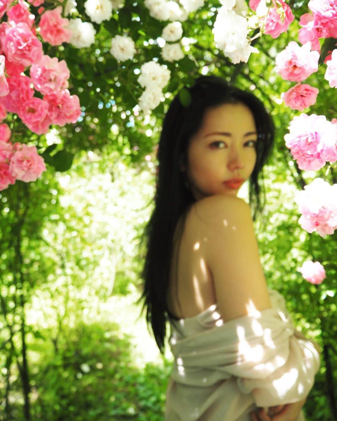 のインスタグラム：「Twitterのヘッダー変えてみた〜😊🌹✨  #dreamy #flowers #バラ園 #永野桃子 #ポートレート撮影 #ポートレート写真が好き」