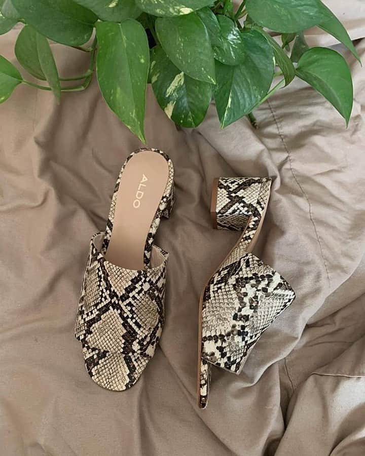 ALDO shoesさんのインスタグラム写真 - (ALDO shoesInstagram)「Ssslide into summer style and get ready to ssslay all day in these Zhavaglia mules. 🐍 Discover more of our summer-ready sandals in our link in bio. Photo: @blankituhh #AldoCrew #AldoShoes」7月16日 22時38分 - aldo_shoes