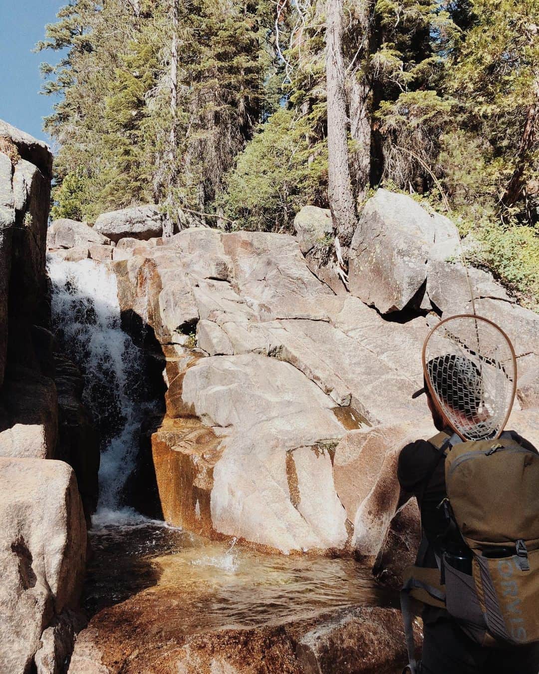 のインスタグラム：「here for him @nationalforests  #nationalforestweek  #onlyyou  #giveahootdontpollute  #unfailinggoods  #onelife  #fishitwell  photos from my girl @alexakdavalos」