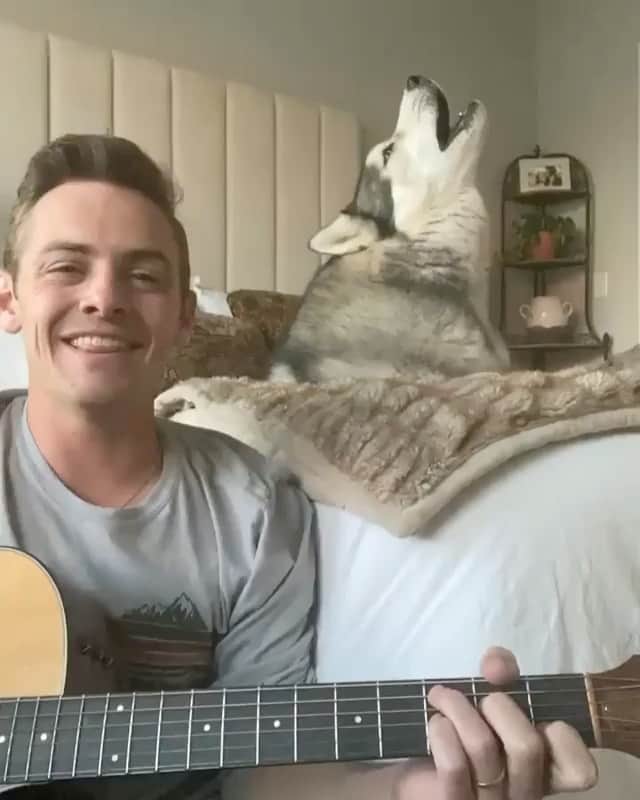 DogsOf Instagramのインスタグラム：「“We all need someone to lean on 🎶” writes @kovu.sings   #dogsofinstagram」