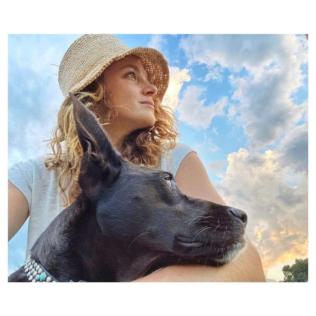 のインスタグラム：「We are starting a band... #ShannyAndTheSunshineBand #WoofsNRoses #Aerosniff #PupJam」