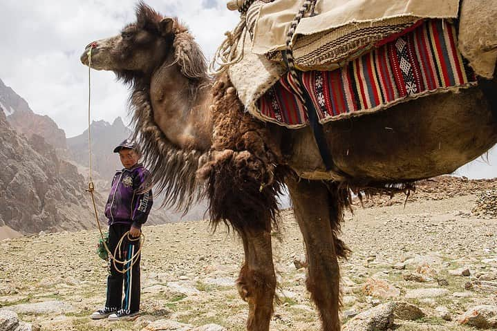 thephotosocietyさんのインスタグラム写真 - (thephotosocietyInstagram)「Photos by @tommy.heinrich // Tuya-Sun Danyar, Abidist and Mamiya Danyar, live in the remote village of Illik. With their wind burnt cheeks, friendly and playful, simple and rugged, in harmony with the desert and natural environment they live in. As all kids in the village, they interact with the Bactrian camels since birth. Many times their size, they are always seen together as if they were their pets, confident and relaxed. Patiently waiting, while their family members prepare the camel caravan that took us to K-2’s North side base camp. On assignment @natgeo for the expedition led by @ralfdujmovits @pyhrgas. The limited edition print sale @thephotosociety is ending soon. Printed with @EpsonProPhotography paper.   Tuya-Sun Danyar, Abidist y Mamiya Danyar, viven en la remota villa de Ilik. Con sus mejillas quemadas por el viento, amistosos y juguetones, simples y resistentes, viven en armonia con el desierto y el entorno natural que los rodea. Como todos los chicos en la villa, interactuan desde su nacimiento con los camellos bactrianos. Varias veces su tamaño se los ve siempre juntos como si fueran mascotas, con confianza y relajados, esperando pacientes mientras su familia prepara la caravana de camellos que nos llevaria al campo base del monte K-2.  Contratado por @natgeo para la expedicion al Monte K2 liderada por @ralfdujmovits y @pyhrgas. La edicion limitada de copias a la venta @thephotosociety finaliza en pocas horas. Impresas en papel @EpsonProPhotography.   @natgeo @thephotosociety  @epsonprophotography  #ThePhotographicPrint #NikonNoFilter #nikonargentinaoficial @tommy.heinrich @pyhrgas #darekzaluski @ralfdujmovits @maxut_zhumayev」7月16日 23時28分 - thephotosociety