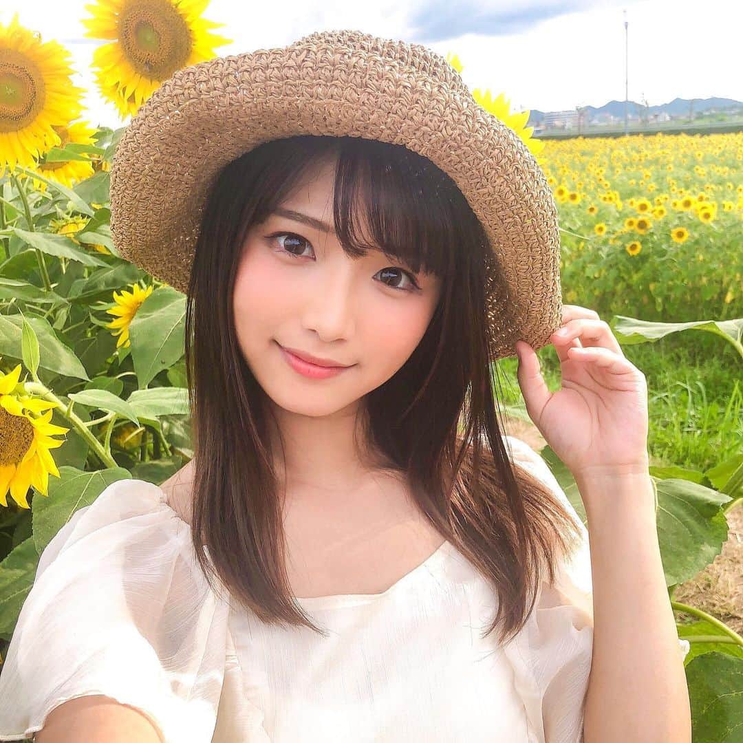 山本ゆうかのインスタグラム：「.﻿ ﻿ ﻿ ﻿ ﻿ ひまわり畑行って来たよ！！！！﻿ 兵庫県の小野🌻﻿ ﻿ ﻿ 数年前、親善大使してる時に、メンバーの皆で﻿ 行ったんだけど、その時は季節外れで﻿ 到着したらひまわりが全部枯れてました🙂🙂🙂﻿ ﻿ ﻿ そんな悲しい思い出とはさらば！！﻿ 良い日でした(*´꒳`*)﻿ ﻿ ﻿ 自撮りはアウトカメラに限るぜ！！！﻿ ﻿ ﻿ ﻿ ﻿#ひまわり #ひまわり畑 #麦わら帽子 #royalparty #ひまわりの丘公園  #ポートレートモデル  #関西サロモ #被写体 #ポートレートしま専科  #ビジョビ #キリトリセカイ #スクリーンに恋して #カメラマンさんと繋がりたい  #サロモ募集中  #portraitphotography #good_portraits_world  #instagood #instaportrait #lovers_nippon  #イチナナライブ #17live #イチナナライバー」