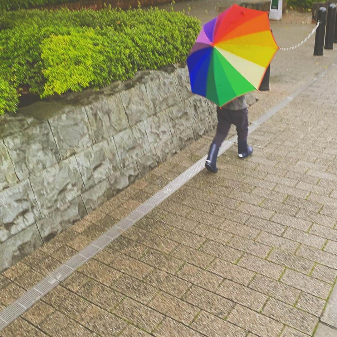 澤田友美さんのインスタグラム写真 - (澤田友美Instagram)「. Hello🌈 rainbow children👦🏼 ありがとうね💗」7月17日 0時10分 - tomomi__sawada